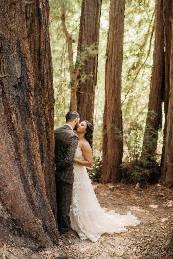 Bride kisses groom who is against a huge redwood tree in Carmel, California.